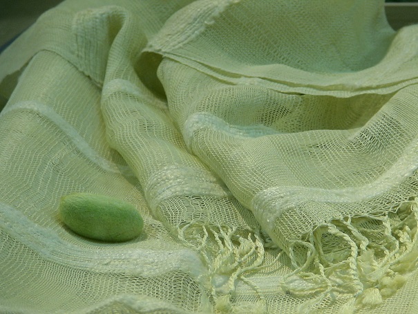 天蚕の布と織のイメージ