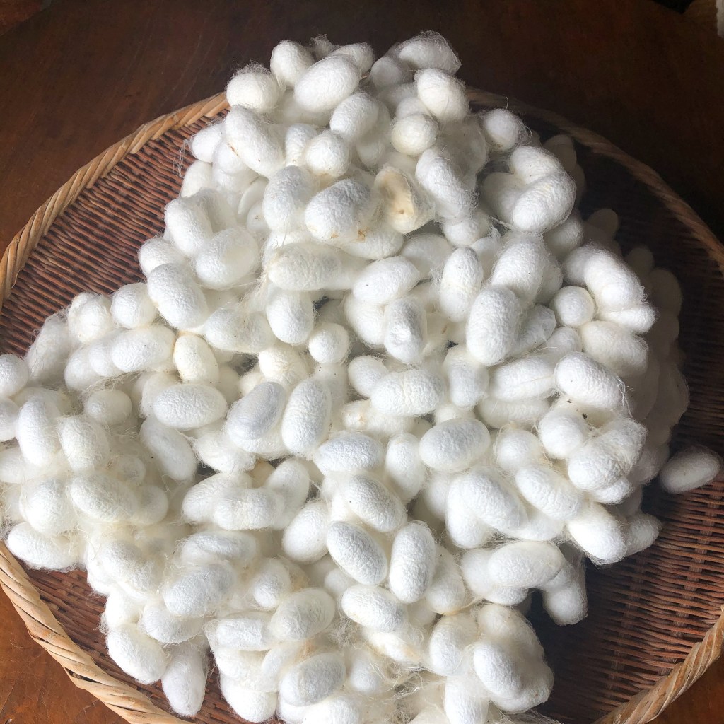 八王子染織ワークショップ蚕からはじまる