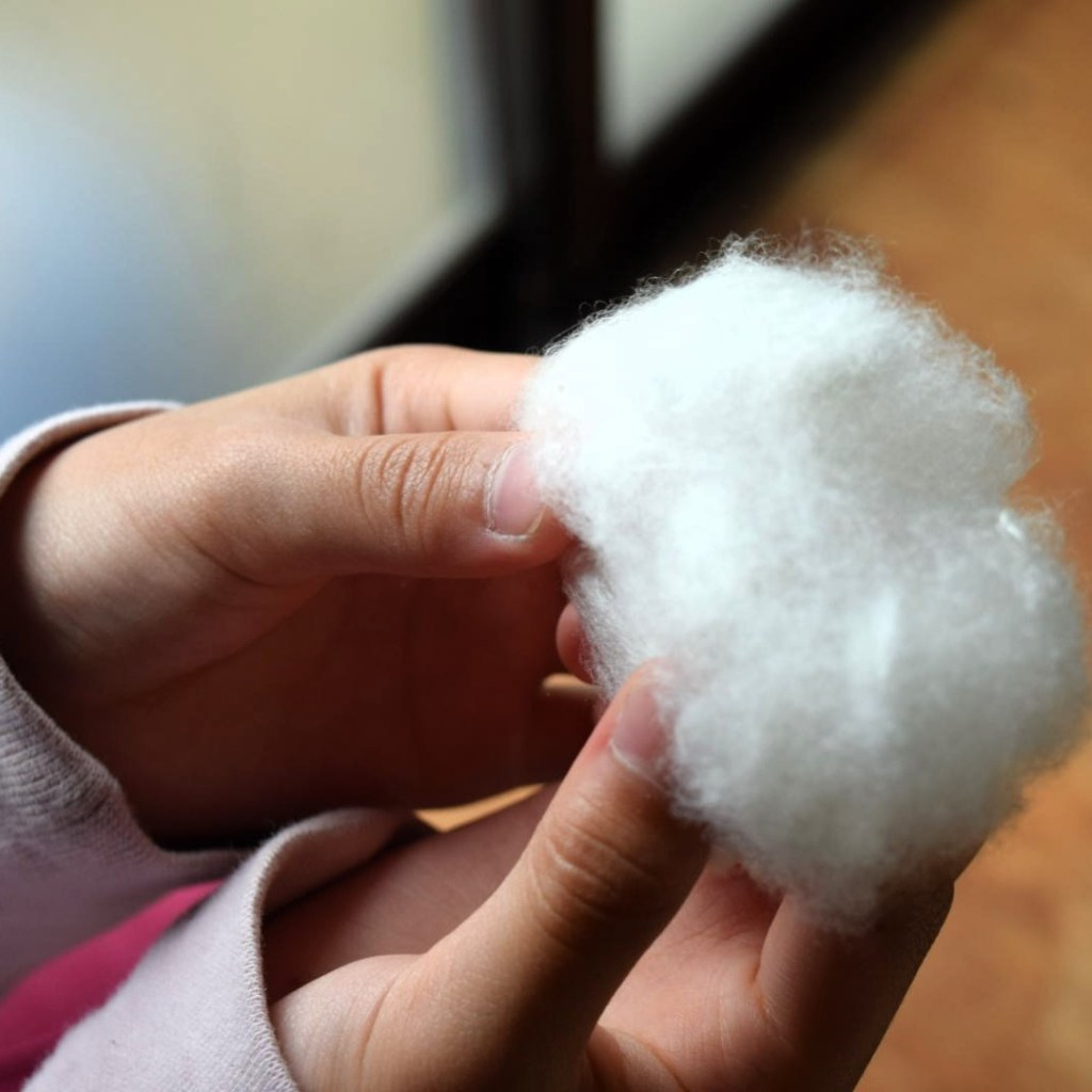 Silk mawata (floss) filled with the life of the silkworm