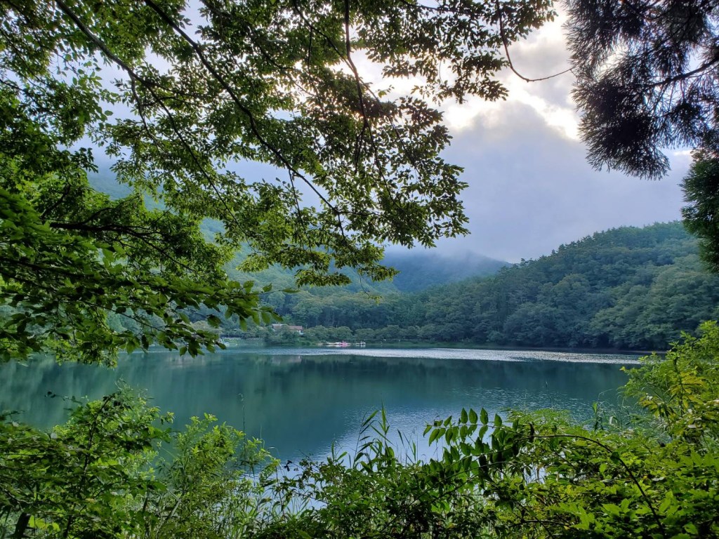 里山の湖畔で開催する体験ワークショップの風景