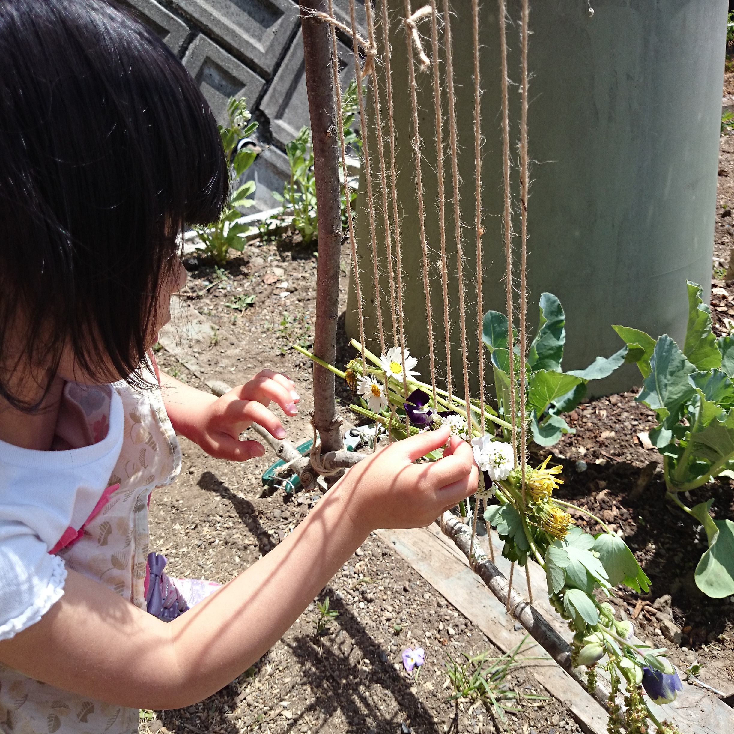 循環：染めかすや蛹を堆肥にする