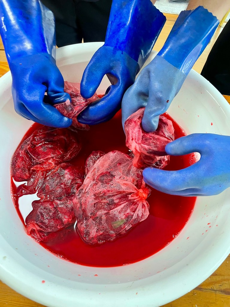 バラの花びらの染液づくり